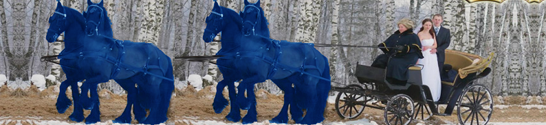 Поздравляем молодоженов и всех, всех, всех с новым 2014 годом синей деревянной лошади!